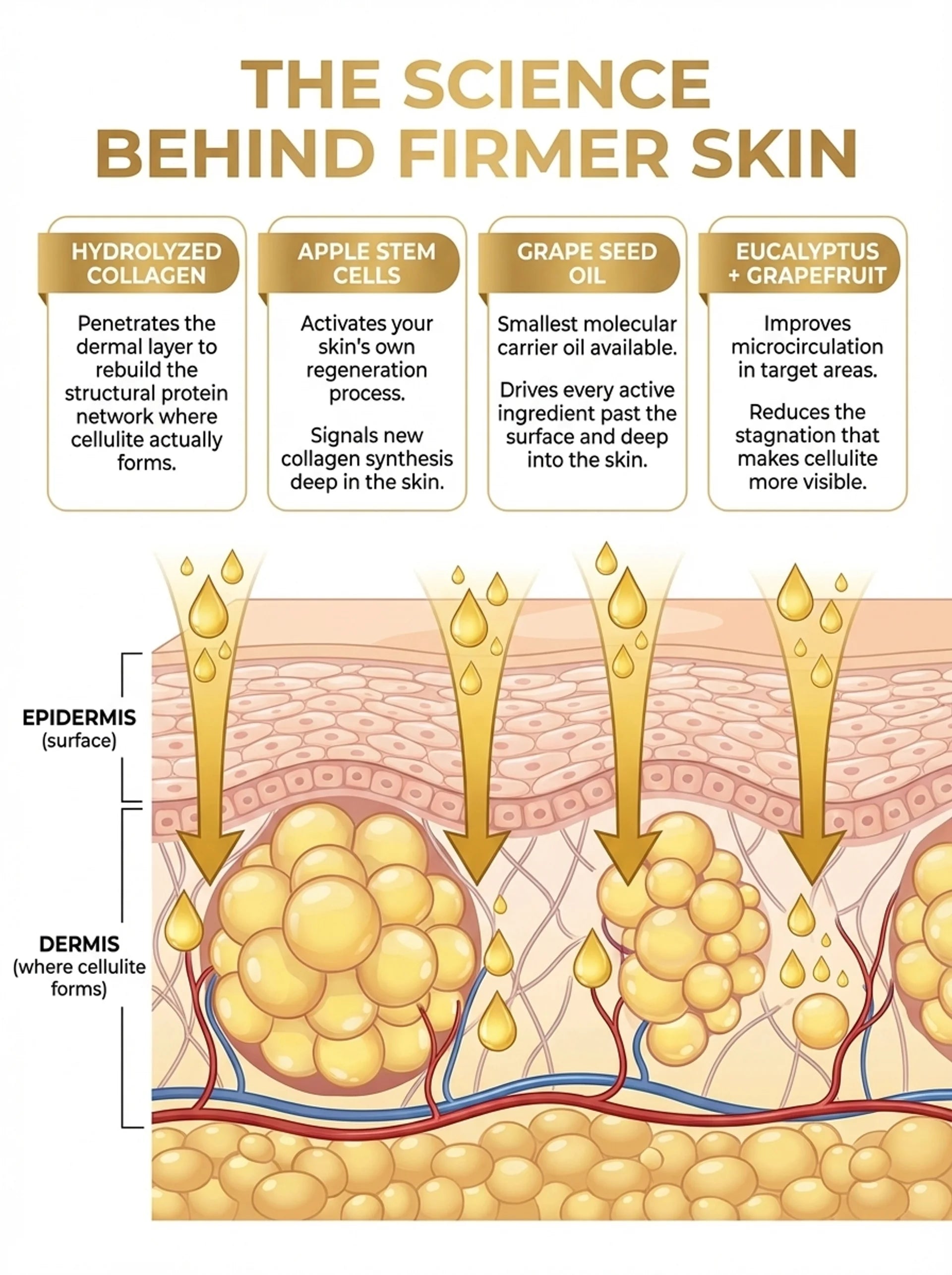 MIRELLA MAISON | FIRMING & ANTI-CELLULITE BODY OIL